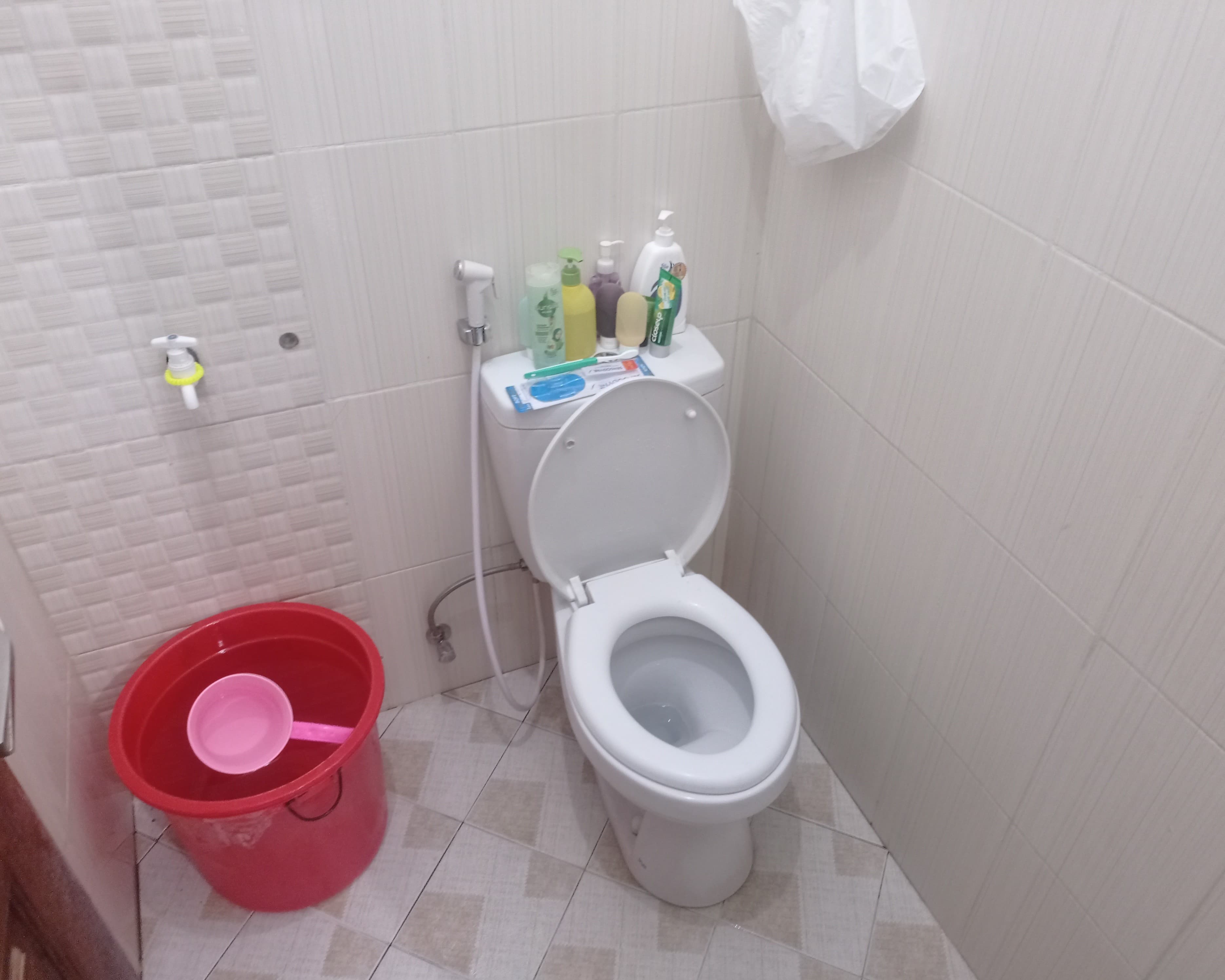 Gambar 2 dari Deep Cleaning Toilet